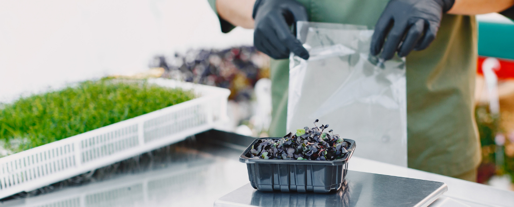 Food laboratory with a person who pays attention to hygiene for smooth traceability